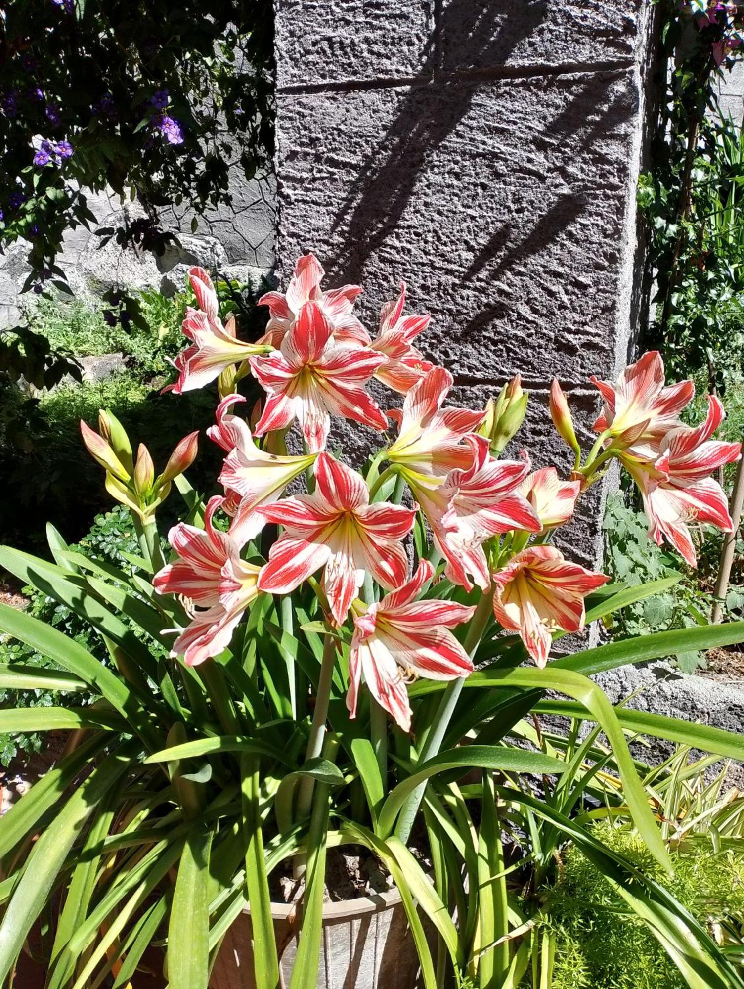 Casa Romeo Hébergement de vacances